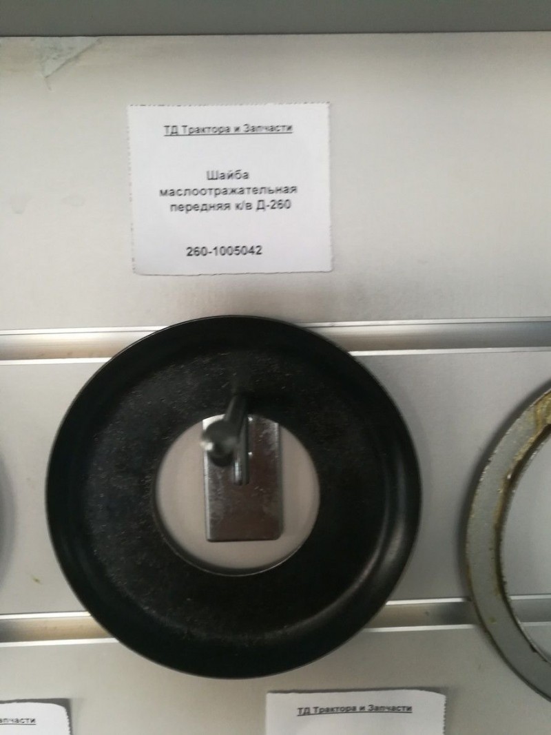 Шайба маслоотражательная передняя к/в Д-260 — 1