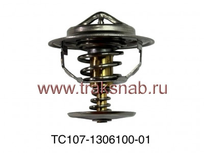 Термостат ТС 107-04 (80 град.)